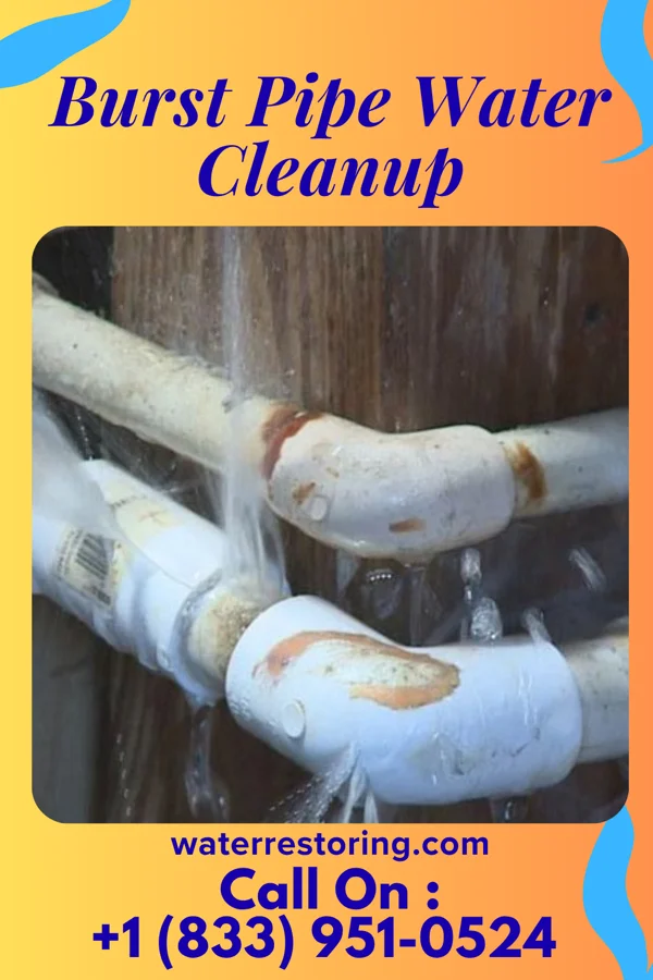 Burst Pipe Water Cleanup in West Carrollton, OH