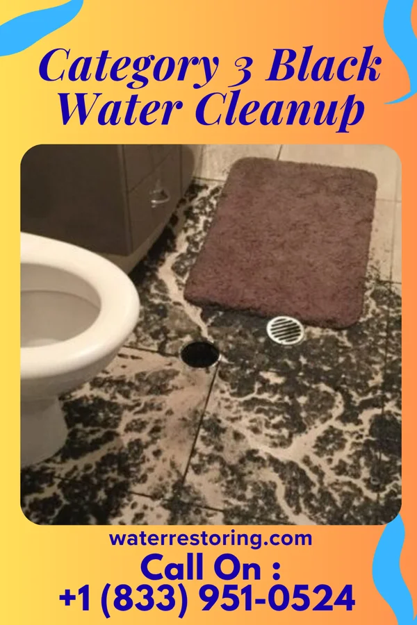 Category 3 Black Water Cleanup in West Carrollton, OH