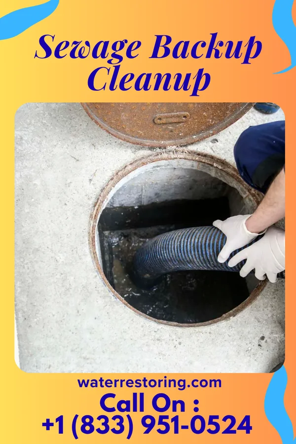 Sewage Backup Cleanup in West Carrollton, OH